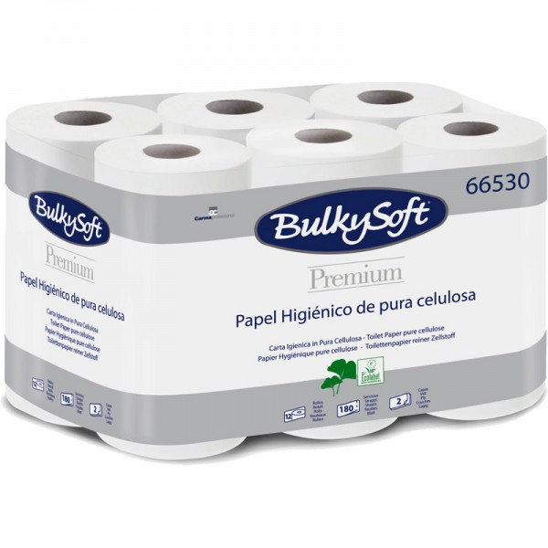 Netuno 12 x papier toilette gros rouleau papier hygiénique pour support  dérouleur papier blanc standard 2 plis pour wc toilettes nettoyage école