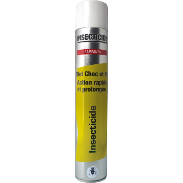Insecticide insectes rampant bombe 750 ml