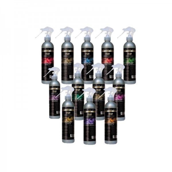 Coffret Sensual 12 parfums surodorants - 12 sprays de 250 ml