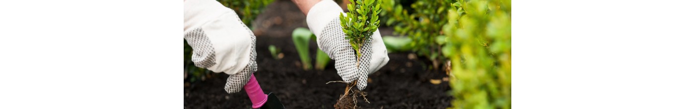 manutention légère travaux de précision